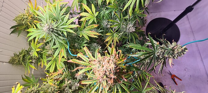Growreport Bild 18