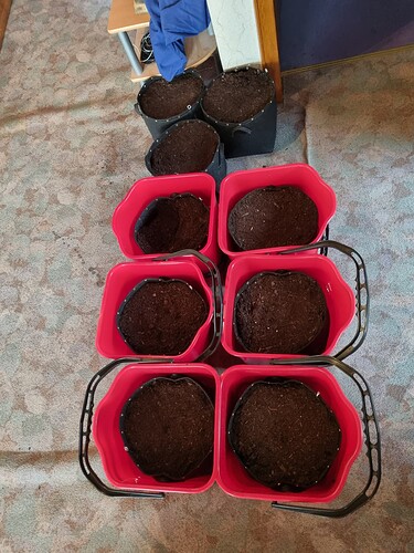 Growreport Bild 4