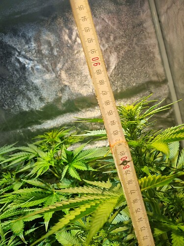Growreport Bild 22