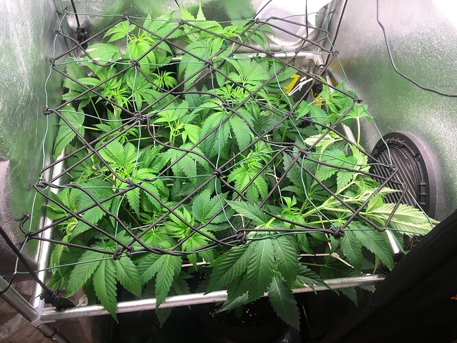 Growreport Bild 14