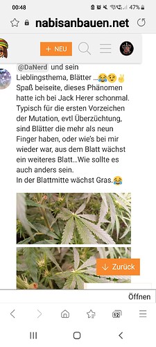 Growreport Bild 11
