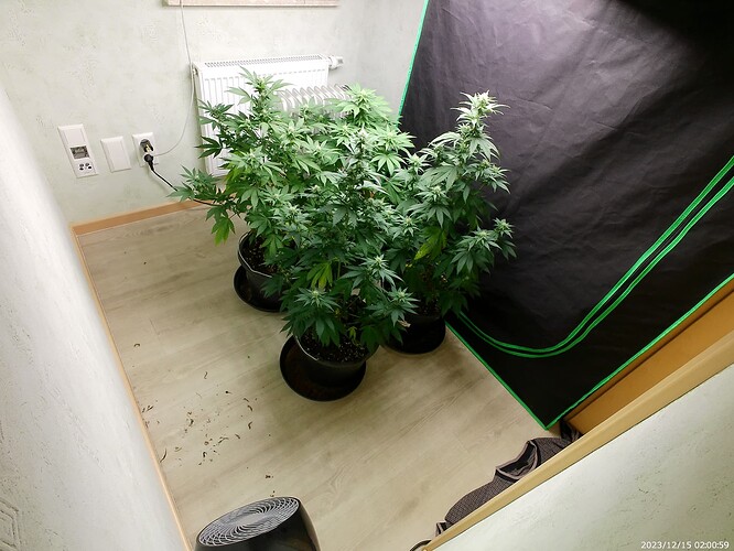 Growreport Bild 28
