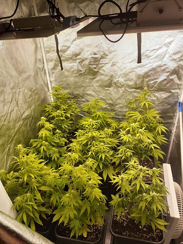 Growreport Bild 1