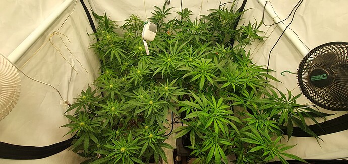 Growreport Bild 6