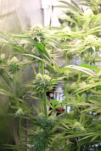 Growreport Bild 12