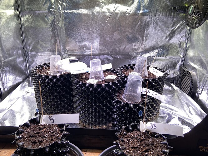 Growreport Bild 15
