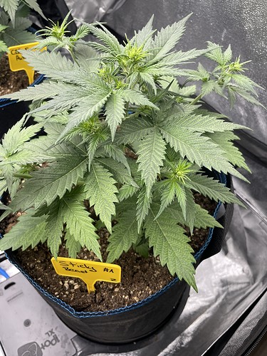 20211018_115041124_iOS