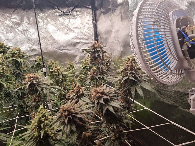 Growreport Bild 4