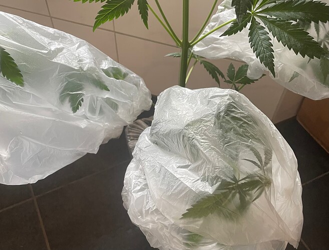 Growreport Bild 21