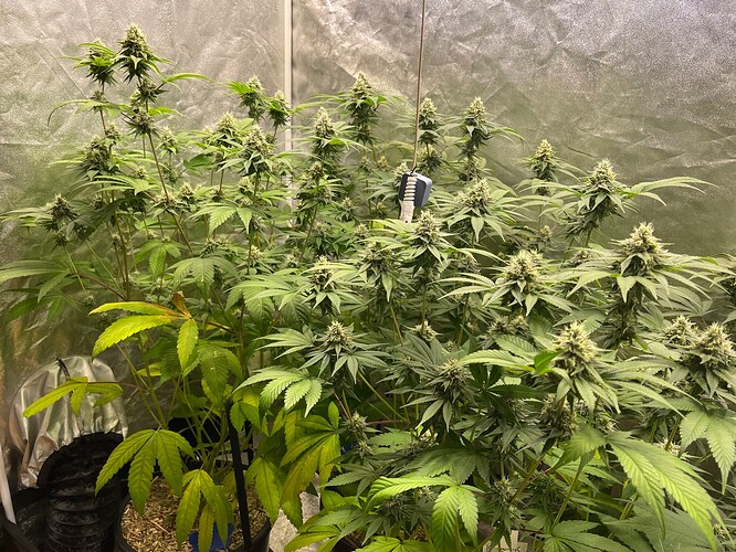 Growreport Bild 2