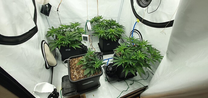 Growreport Bild 1