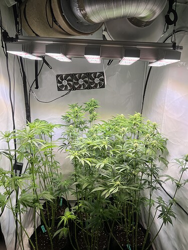 Growreport Bild 8