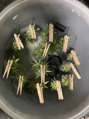 Growreport Bild 9