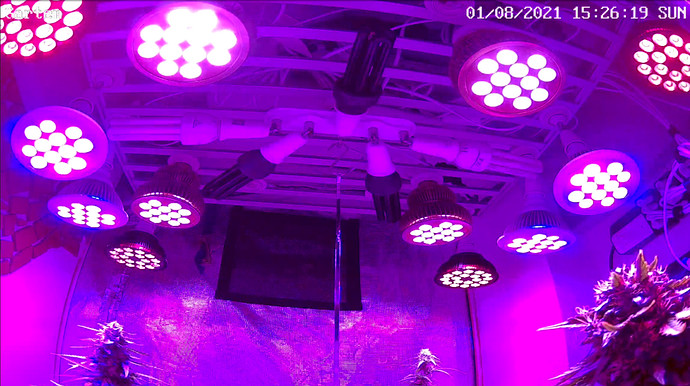 Growreport Bild 11