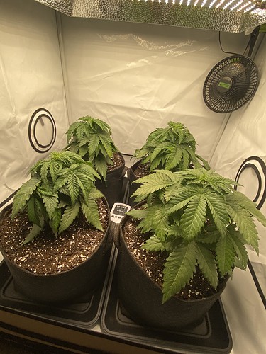 Growreport Bild 11