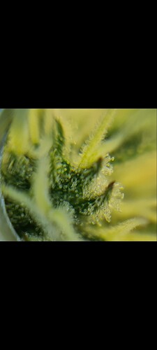 Growreport Bild 5