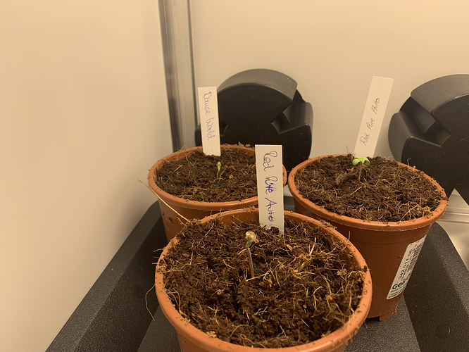 Growreport Bild 4