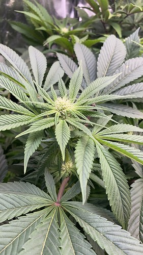 Growreport Bild 16