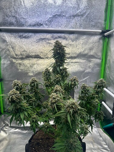Growreport Bild 16