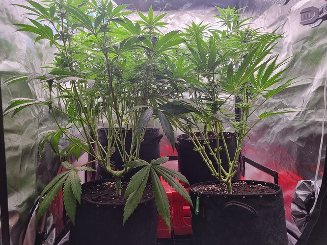 Growreport Bild 7