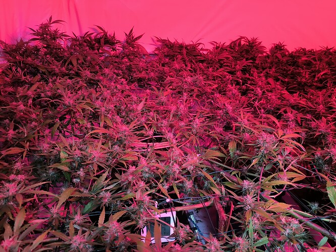 Growreport Bild 12