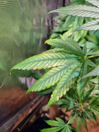 Growreport Bild 11