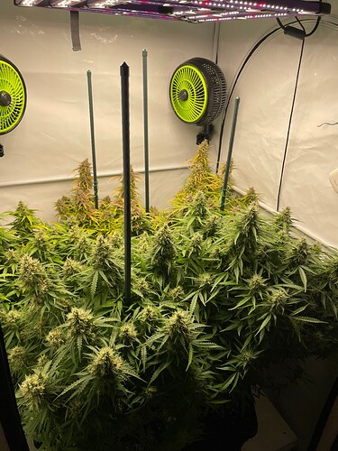 Growreport Bild 4