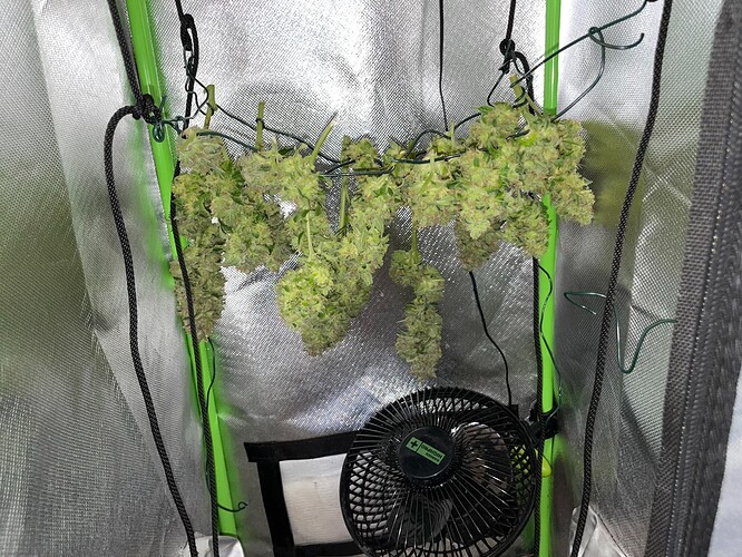 Growreport Bild 3