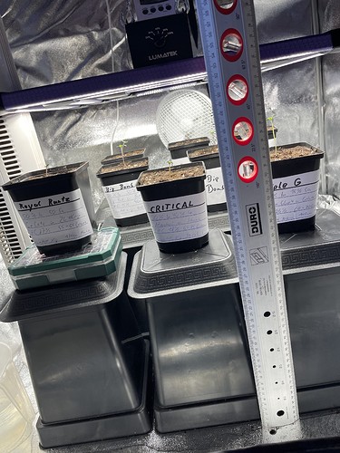Growreport Bild 22