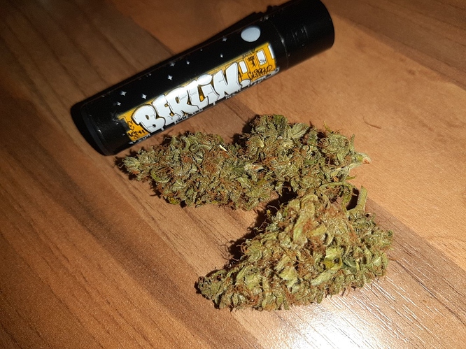 Growreport Bild 9