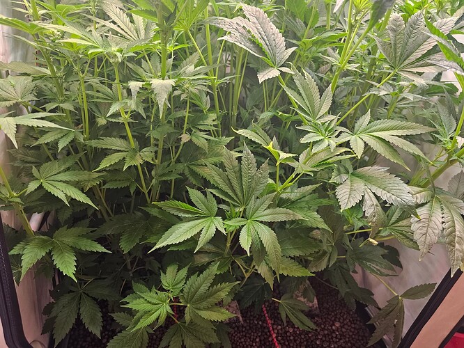 Growreport Bild 25