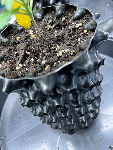 Growreport Bild 35