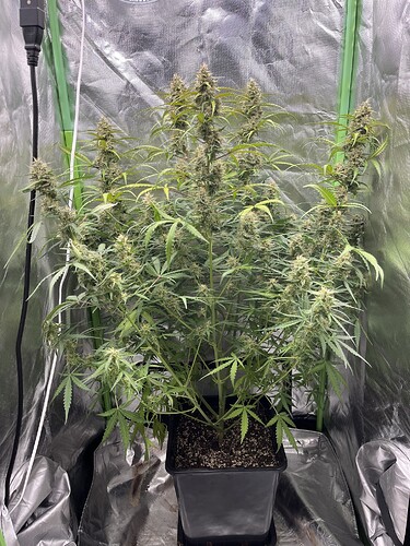 Growreport Bild 7