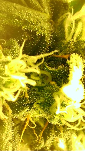 2022_04_01_15_05_47_980