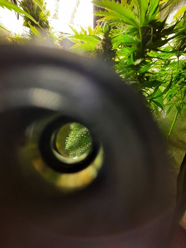 Growreport Bild 10