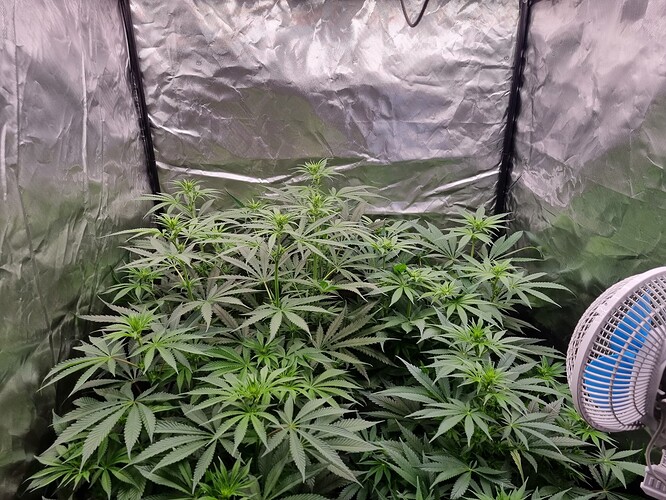Growreport Bild 14