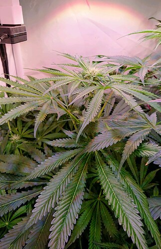 Growreport Bild 10