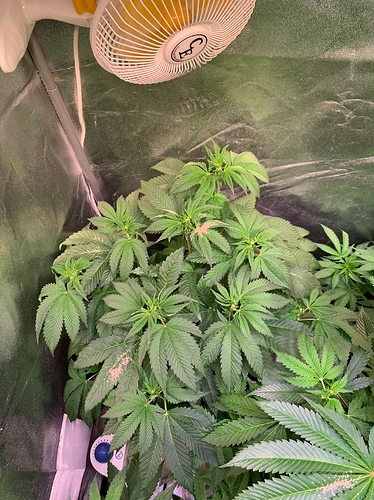 Growreport Bild 4