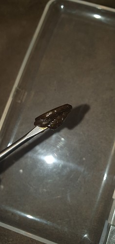 Growreport Bild 11