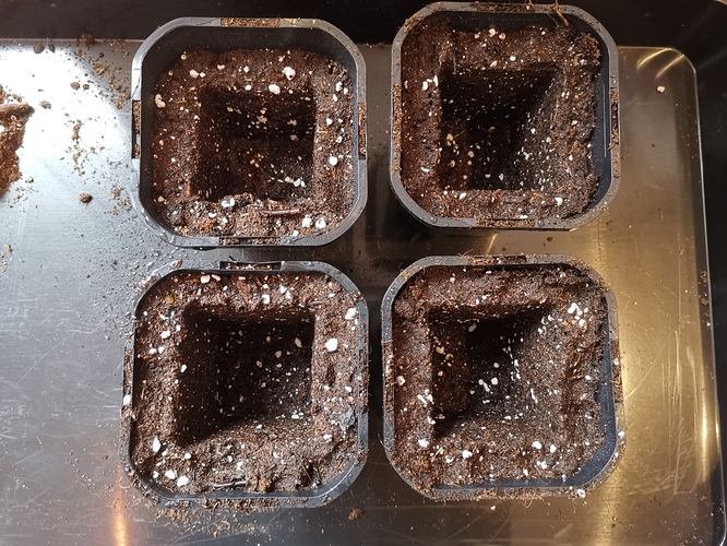 Growreport Bild 1