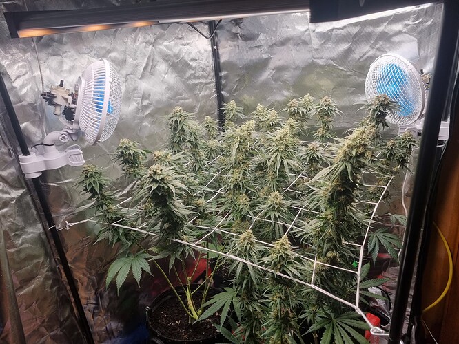 Growreport Bild 17