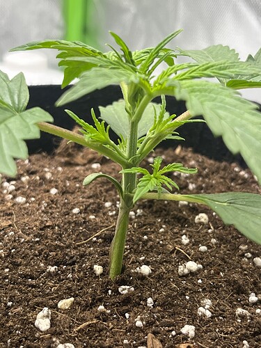 Growreport Bild 21