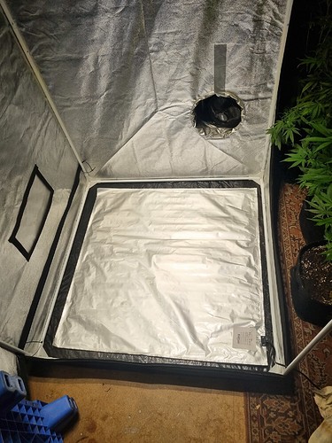 Growreport Bild 1