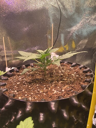 Growreport Bild 10