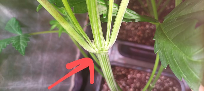 Growreport Bild 16
