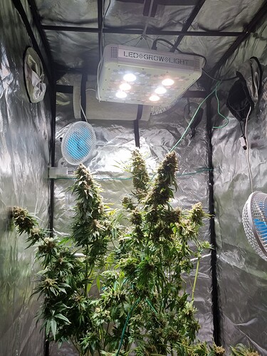 Growreport Bild 5