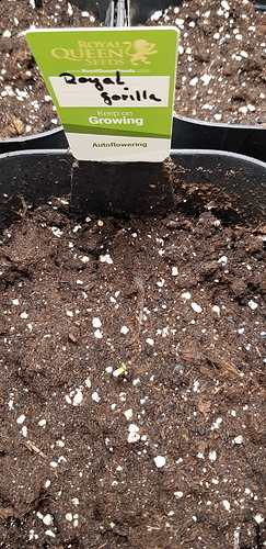 Growreport Bild 14
