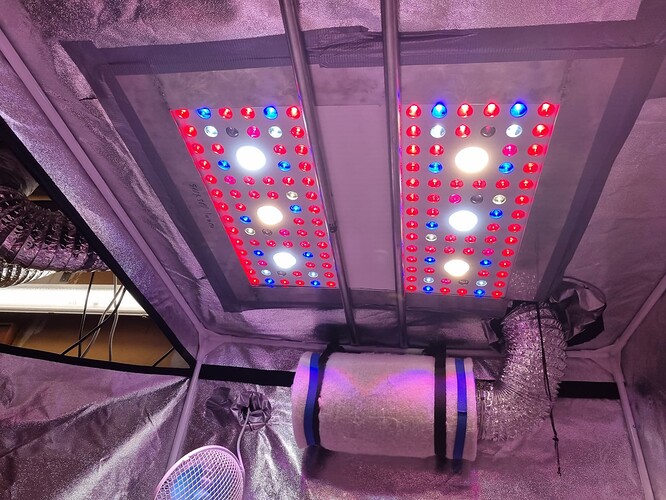Growreport Bild 25