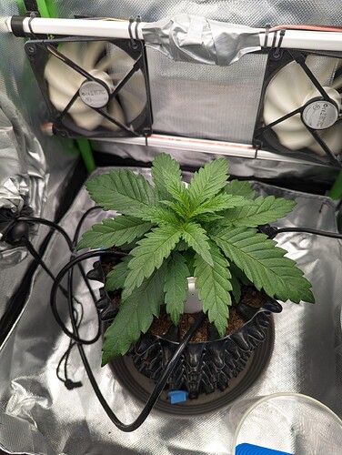 Growreport Bild 4