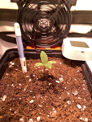 Growreport Bild 23